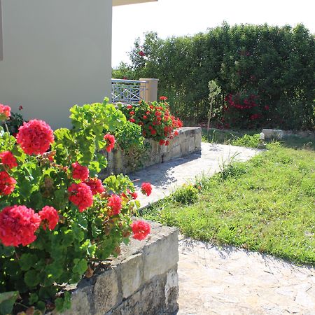 Aggelina S Apartments Xi Beach المظهر الخارجي الصورة
