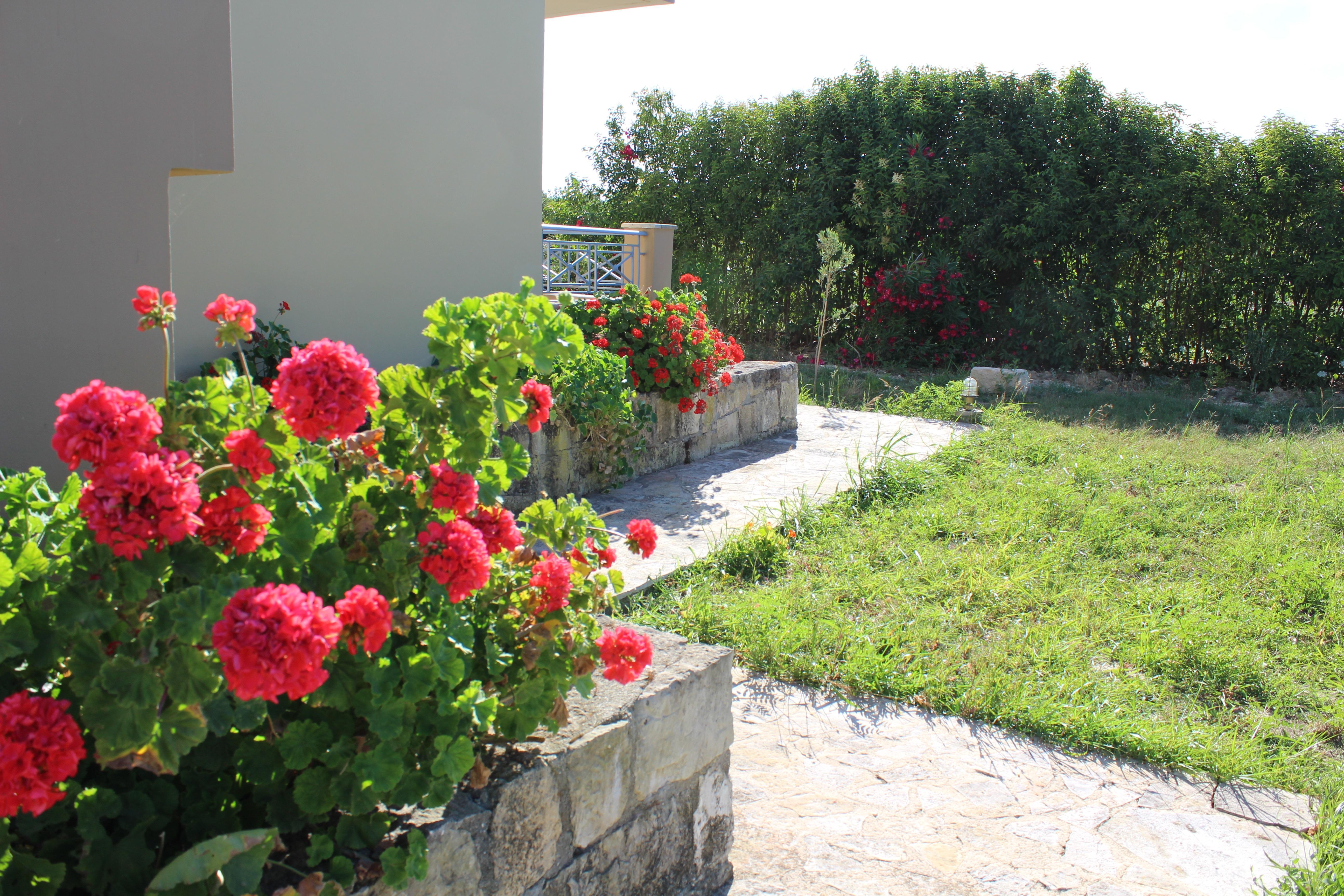 Aggelina S Apartments Xi Beach المظهر الخارجي الصورة